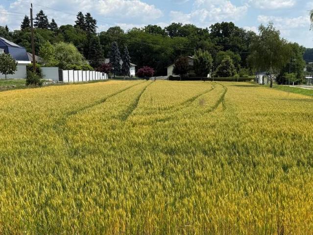 Grundstück kaufen in Oberwart, Burgenland