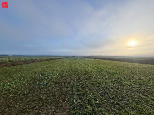 Grundstück kaufen in Gabersdorf, Steiermark