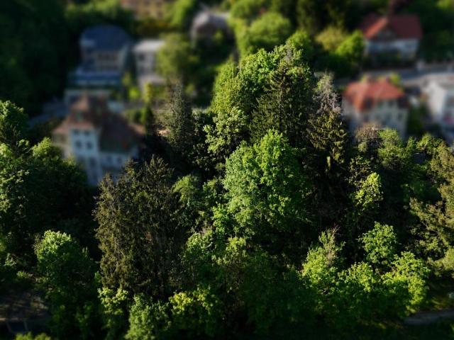 Grundstück kaufen in Seestadt, Wien