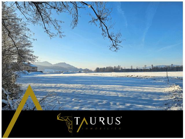 Immobilie kaufen in Eberndorf, Kärnten