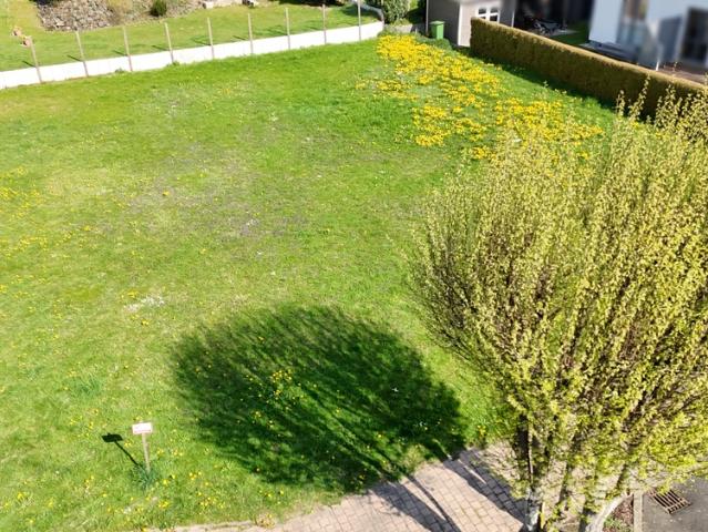 Erdgeschosswohnung kaufen in Calden, Hessen