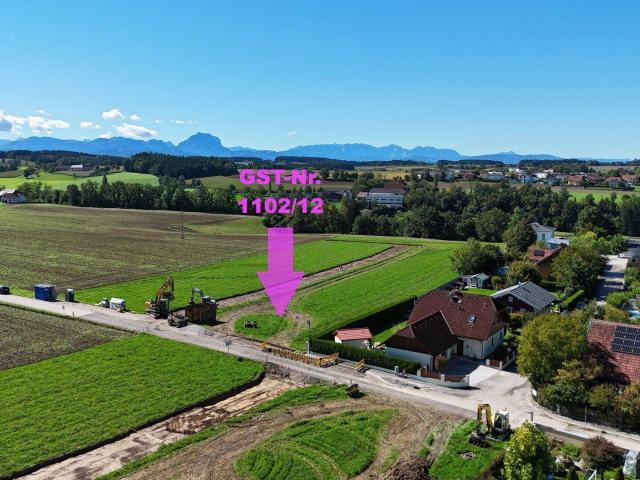 Immobilie kaufen in Steinerkirchen an der Traun, Oberösterreich