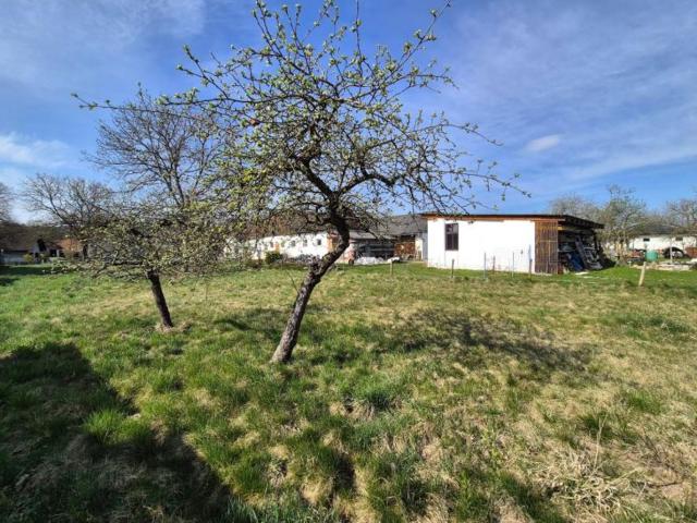 Grundstück kaufen in Fürstenfeld, Steiermark