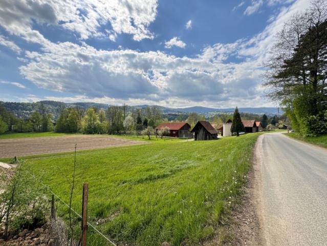 Grundstück kaufen in Stainz, Steiermark