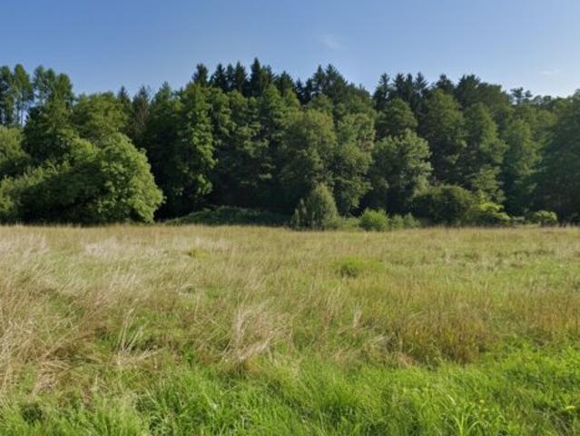 Grundstück kaufen in Stainz, Steiermark