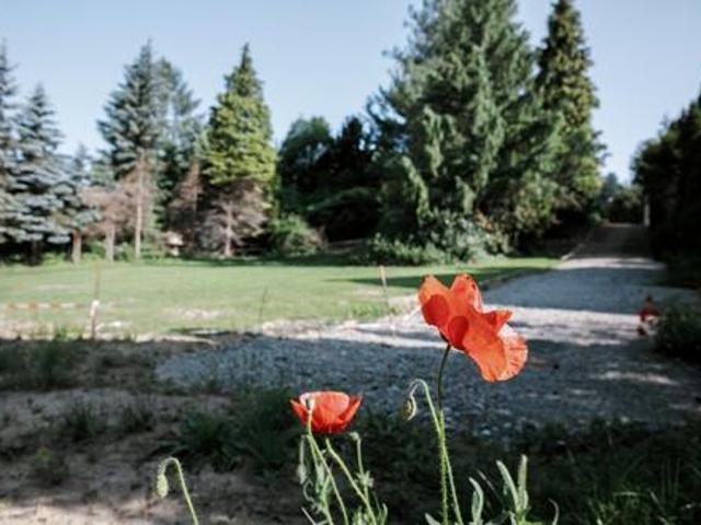 Grundstück kaufen in Tullnerbach, Niederösterreich
