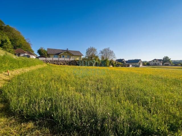Grundstück kaufen in Ernsthofen, Niederösterreich