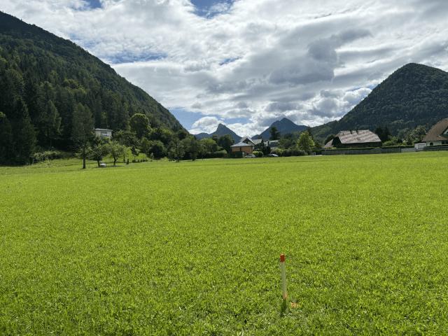 Immobilie kaufen in Grünau im Almtal, Oberösterreich