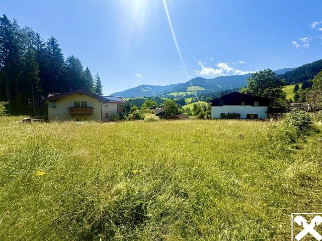 Grundstück kaufen in Leogang, Salzburg