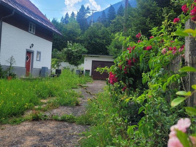 Haus kaufen in Presseggersee, Kärnten