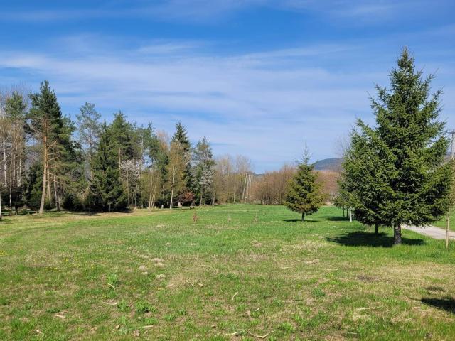 Immobilie kaufen in St. Jakob im Rosental, Kärnten