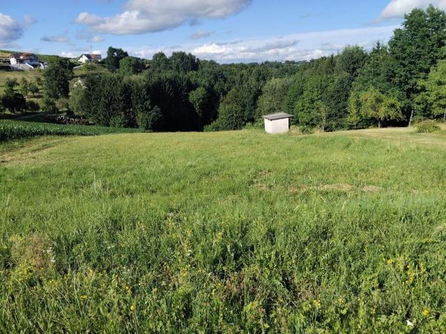 Grundstück kaufen in Güssing, Burgenland