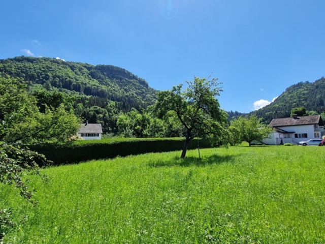 Grundstück kaufen in Göfis, Vorarlberg