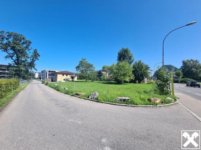 Grundstück kaufen in Hohenems, Bezirk Dornbirn