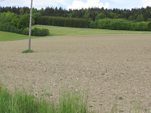Grundstück kaufen in St. Oswald bei Haslach, Oberösterreich