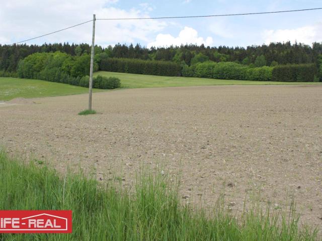 Immobilie kaufen in St. Oswald bei Haslach, Oberösterreich