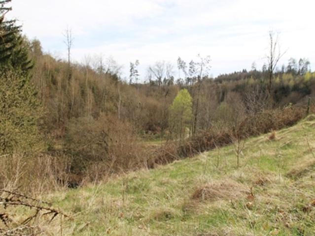 Grundstück kaufen in Hagenberg im Mühlkreis, Oberösterreich