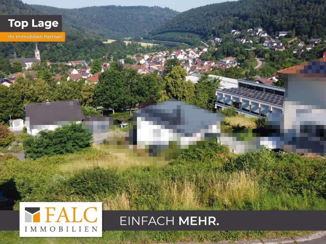 Erdgeschosswohnung kaufen in Neckargerach, Baden-Württemberg