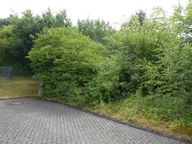 Erdgeschosswohnung kaufen in Feyen-Weismark, Trier