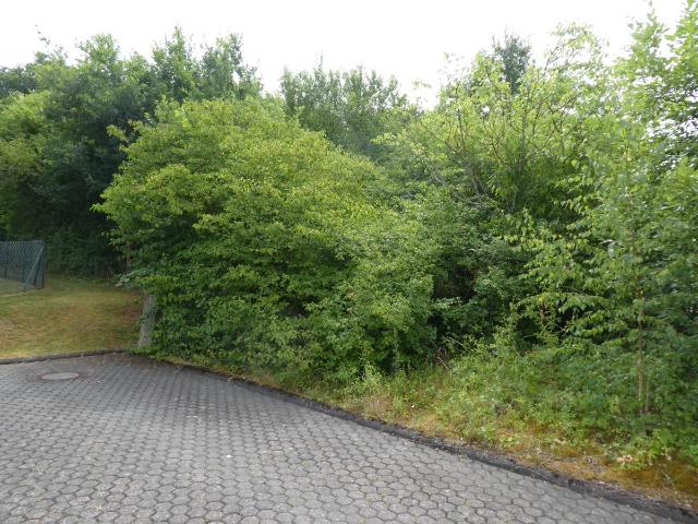 Erdgeschosswohnung kaufen in Euren, Trier