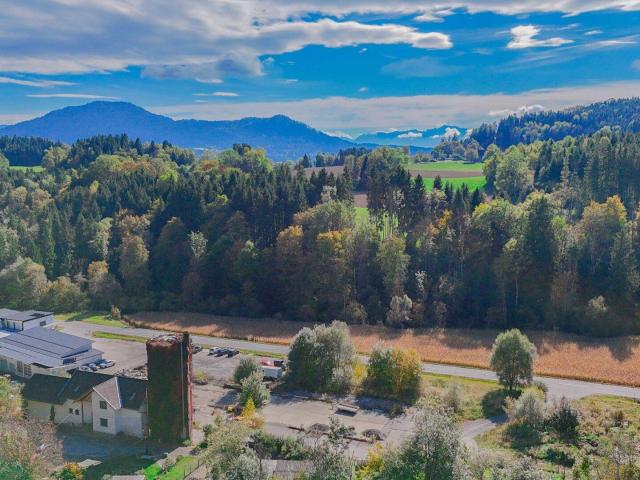 Immobilie kaufen in Liebenfels, Kärnten