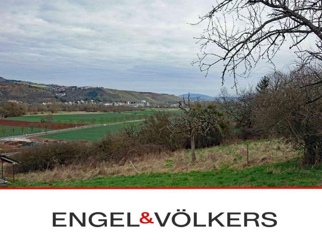 Erdgeschosswohnung kaufen in Merxheim, Landkreis Bad Kreuznach