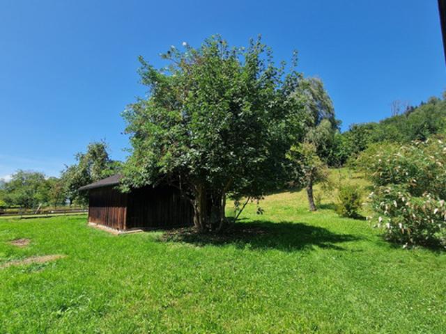 Grundstück kaufen in Schlins, Vorarlberg