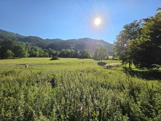 Grundstück kaufen in Deutschfeistritz, Steiermark