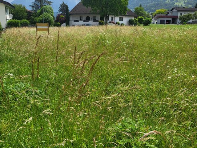 Grundstück kaufen in Frastanz, Vorarlberg