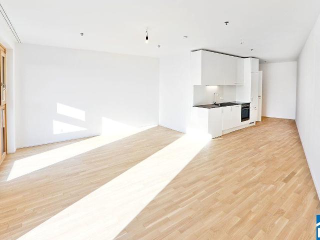 Etagenwohnung mieten in Wien