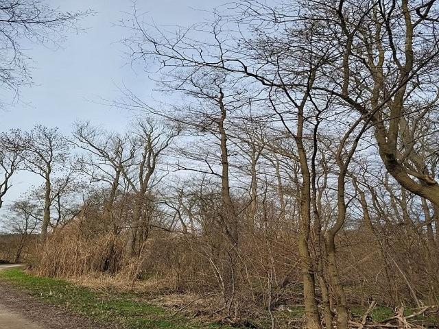 Gewerbe kaufen in Schwedt, Brandenburg