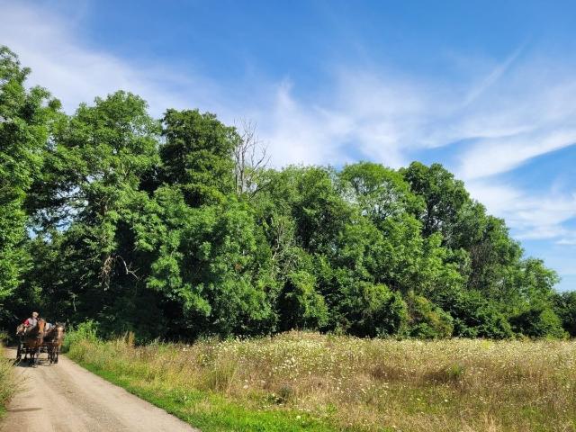 Gewerbe kaufen in Schwedt, Brandenburg