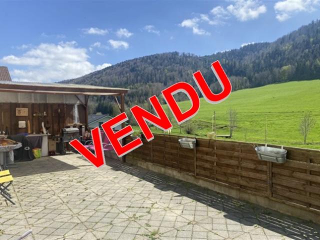 Einfamilienhaus kaufen in Sonvilier, Bern