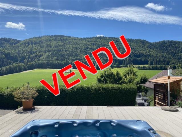 Einfamilienhaus kaufen in Sonvilier, Bern