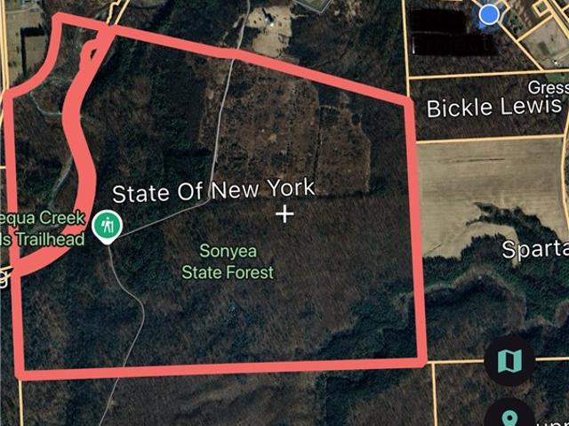 Land for sale in Sonyea, New York