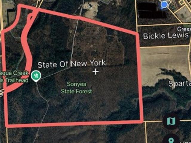 Land for sale in Sonyea, New York