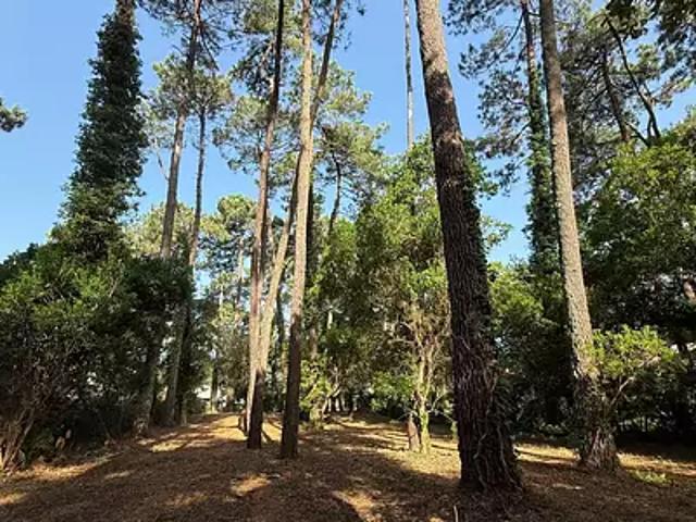 Terrain vente à Dax, Soorts-hossegor