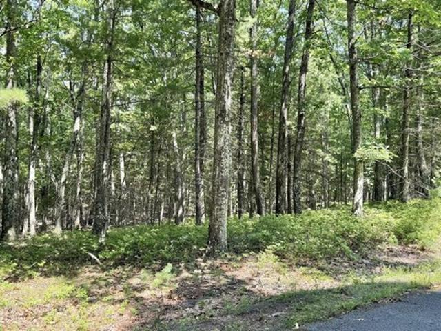 Land for sale in Greentown, Pennsylvania