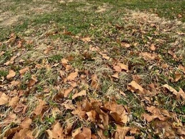 Land for sale in Carthage