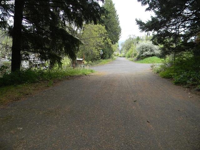 Land for sale in Carson, Washington