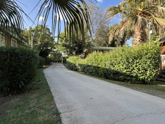 Maison vente à Corte, Sorbo-ocagnano