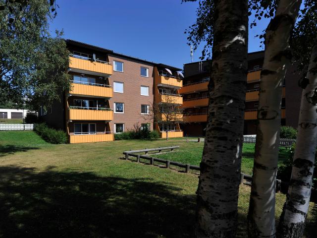 Lägenhet hyra i Örnsköldsvik, Västernorrland
