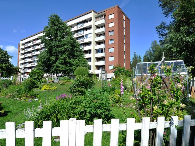 Lägenhet hyra i Örnsköldsvik, Västernorrland