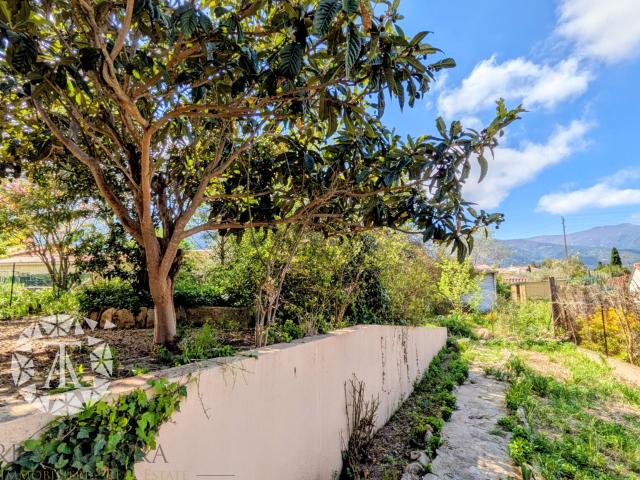 Appartement vente à Céret, Sorède