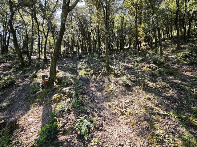 Terrain vente à Céret, Sorède