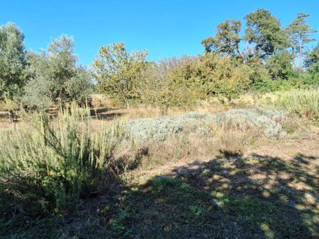 Maison vente à Sorgues, Vaucluse