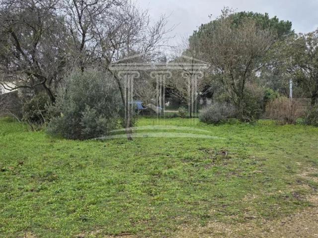 Terrain vente à Avignon, Sorgues
