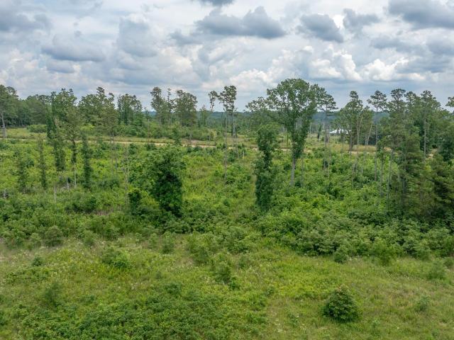Land for sale in Ark