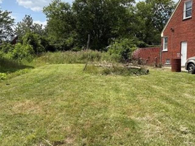 Land for sale in Detroit