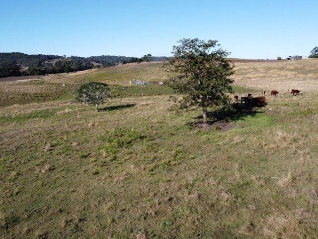 Land for sale in Woolners Arm, New South Wales